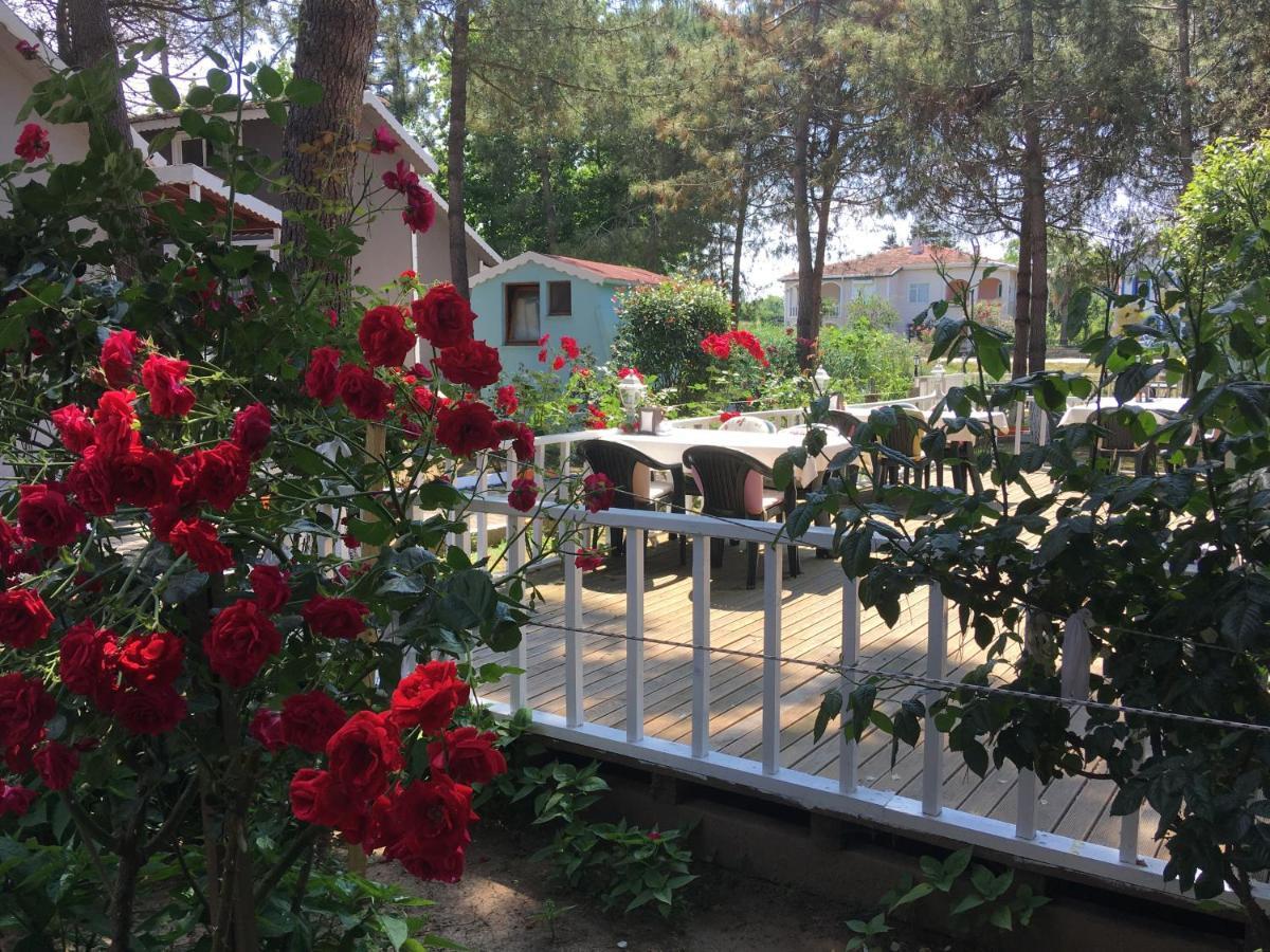 Shila Doert Mevsim Tatil Koyu Hotel Ağva Екстериор снимка