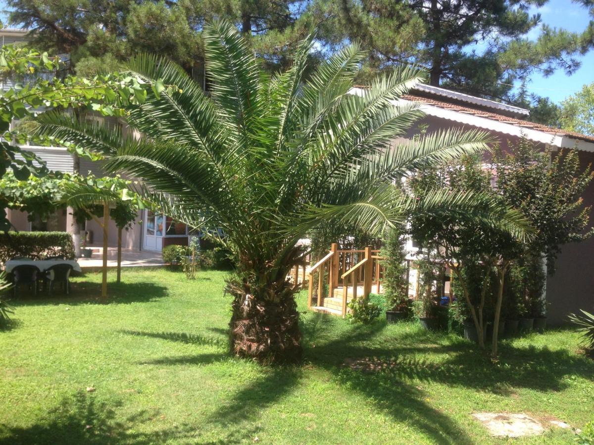 Shila Doert Mevsim Tatil Koyu Hotel Ağva Екстериор снимка